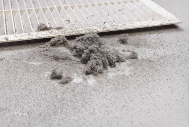 Best HVAC Duct Inspection Services  in Cade, LA