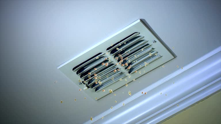Best Duct Cleaning for Homes  in Cade, LA