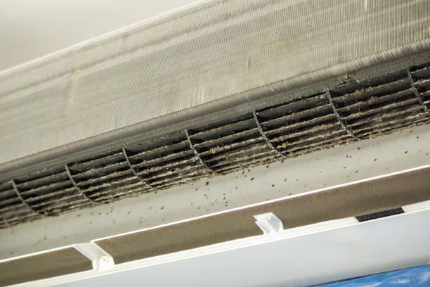 Best Ductwork Cleaning Services  in Cade, LA